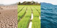 Climate Change