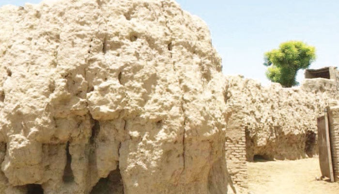 ’سرنی کوٹ‘ بدھ مت کی قدیم یادگار، جسے ڈھائی ہزار سال قبل اشوک اعظم نے تعمیر کرایا تھا