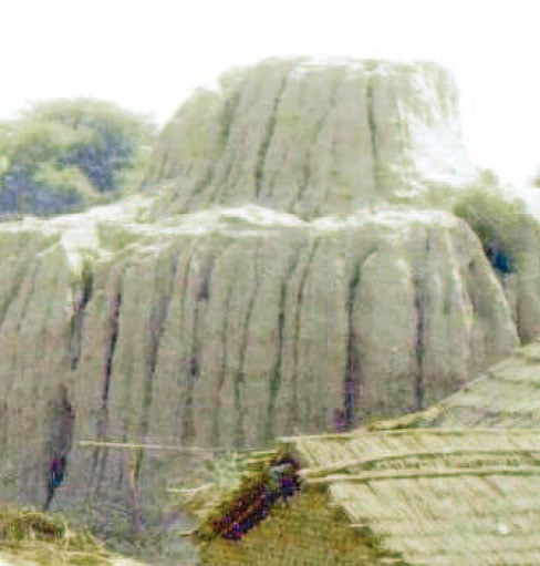 ’سرنی کوٹ‘ بدھ مت کی قدیم یادگار، جسے ڈھائی ہزار سال قبل اشوک اعظم نے تعمیر کرایا تھا