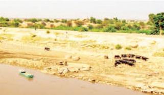 Wadi Sindh