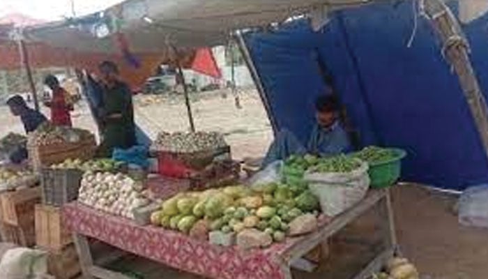 ’’خیمہ منڈی‘‘ برسات میں منڈی میں بنی دکانیں رنگ برنگی سبزیوں اور پھلوں سے سجی ہوتی ہیں