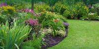 Gardening