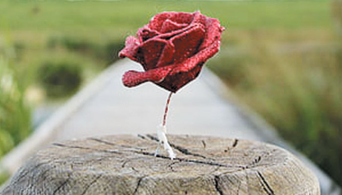 ایک بہتر ’’کل‘‘ کی تعمیر کیلئے
