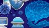 Brain And Covid