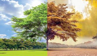 Environmental Changes