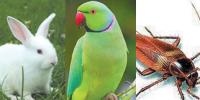 General Knowledge