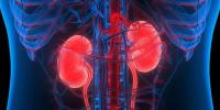 Kidney Disease