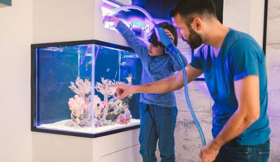 Aquarium