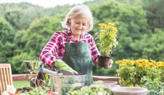 Gardening