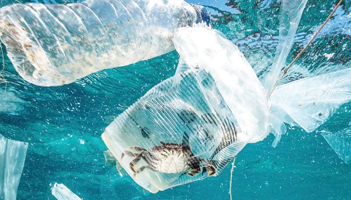 پلاسٹک سمندر کے لیے خطرہ ہے۔
