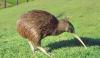 General Knowledge