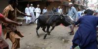 Eid Ul Azha