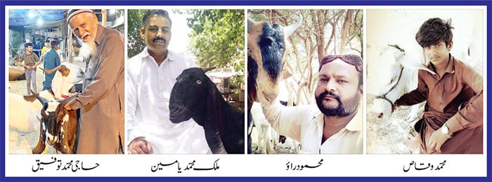 پالتو جانوروں کی قربانی