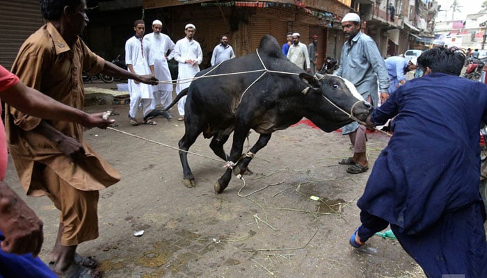 جذبہ قُربانی (سنتِ ابراہیمی کے تناظر میں)