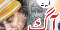 Urdu Novel