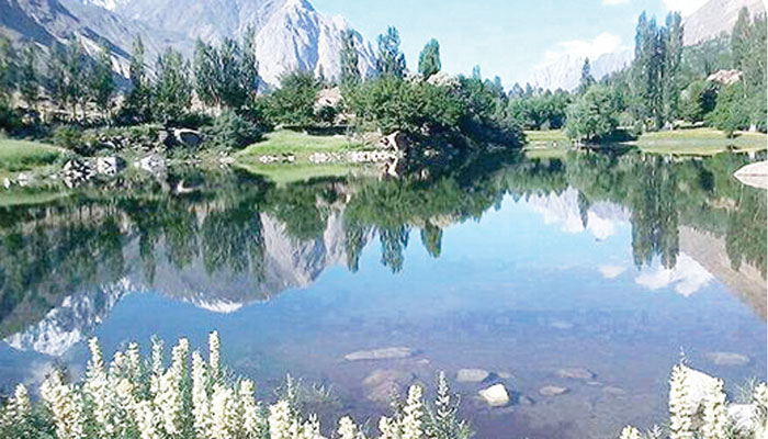 گولن گول ویلی کا ’’گولن جنگل‘‘