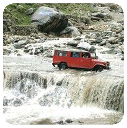 گولن گول ویلی کا ’’گولن جنگل‘‘