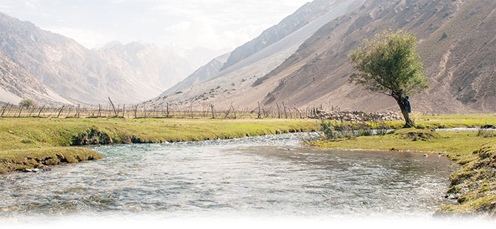 گولن گول ویلی کا ’’گولن جنگل‘‘