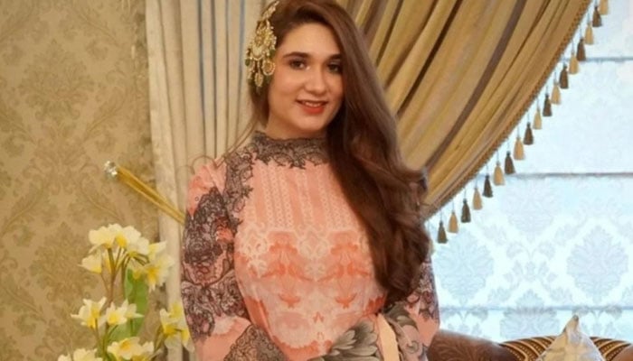 ڈیجیٹل دنیا کے اُفق پر چمکتے دمکتے ستارے