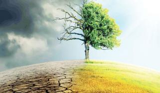 Environmental Changes