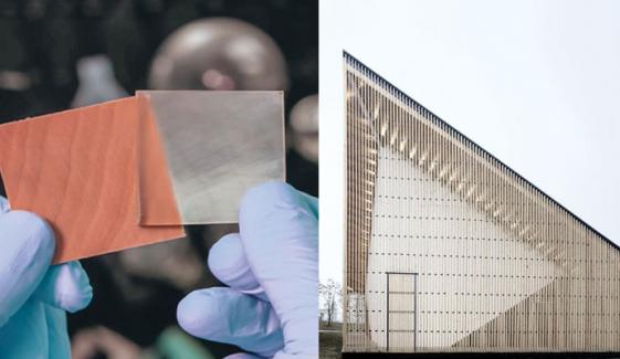 ٹرانسپرنٹ لکڑی کیا ہے