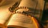 Islamic Life