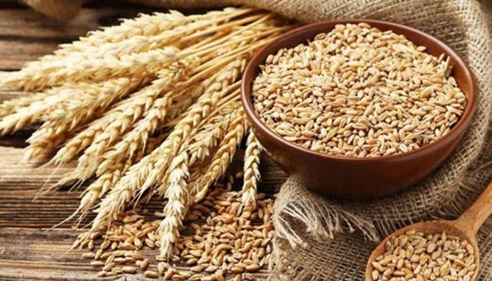 روزوں کے فدیہ میں اناج کے بجائے پیسے ادا کرنا