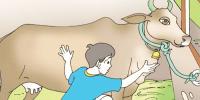 Child Story