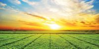 Environmental Changes