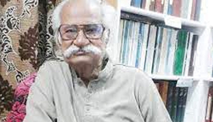 سید حیات النبی رضوی امروہوہی