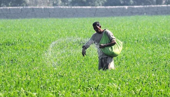 کھیتی کو نقصان پہنچانے والے جانور کو جان سے ماردینے یا سزا کے طور پر بھوکا رکھنے کا حکم