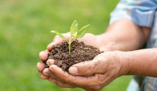 Environmental Changes