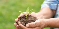 Environmental Changes