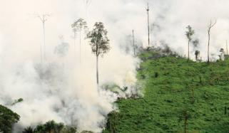 Environmental Polution