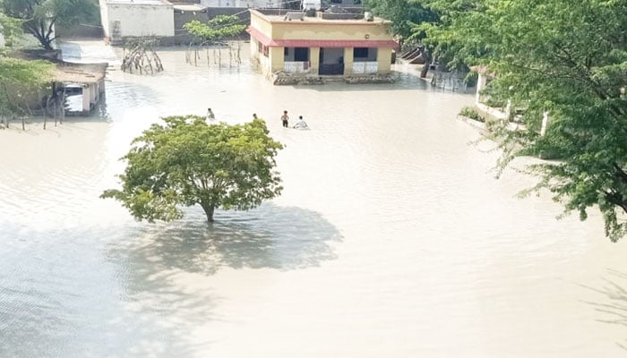 گوادر میں شدید بارش اور سیلاب کی تباہ کاریاں