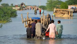 Environmental Changes