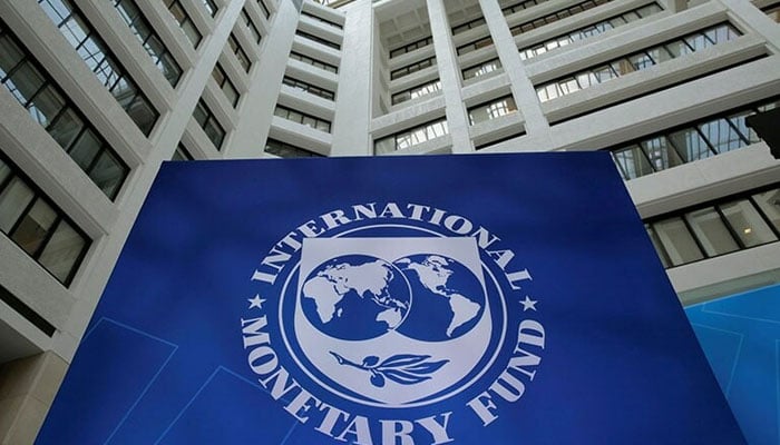 IMF شکنجہ یا نجات دہندہ