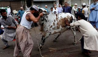 Islamic Rules