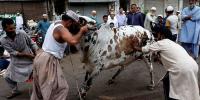 Islamic Rules