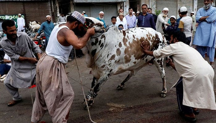 جانور ذبح کرتے وقت ’’بسم اللہ‘‘ بھول جانے کا حکم