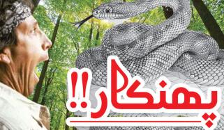 Urdu Digest