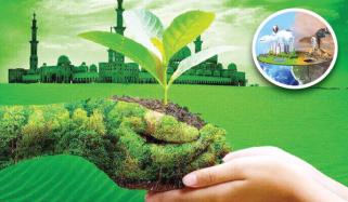 Environmental Changes