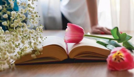 دن میں بھی وہ خیالوں میں سوتی ہیں لڑکیاں