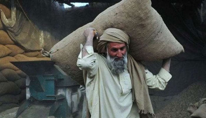 اسلام حصولِ رزق کے لیے محنت کی عظمت اُجاگر کرتا، کسبِ حلال کی تعلیم دیتا ہے