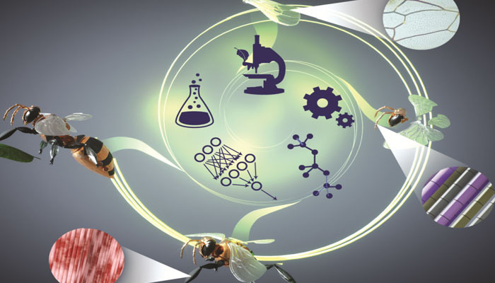 حشرات کی دنیا میں مصنوعی ذہانت کا بڑھتا ہوا رجحان