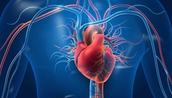 چند احتیاطی تدابیر اپنا کر اِسے ہر طرح کے روگ سے محفوظ رکھا جاسکتا ہے