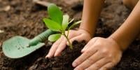Environmental Change