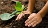 Environmental Change