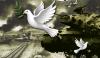 Pak India War
