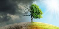 Environmental Changes